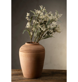 Flowering Eucalyptus Branch