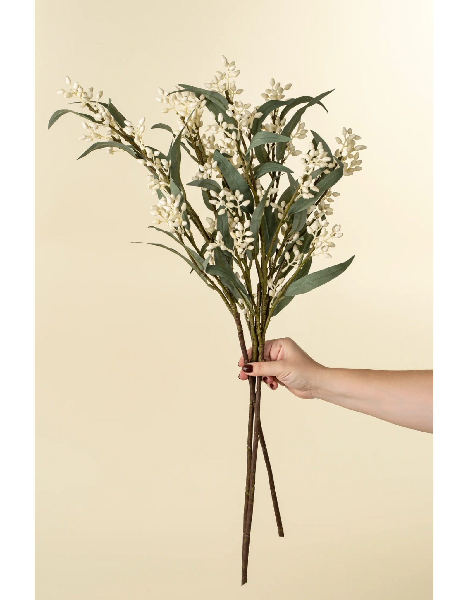 Flowering Eucalyptus Branch