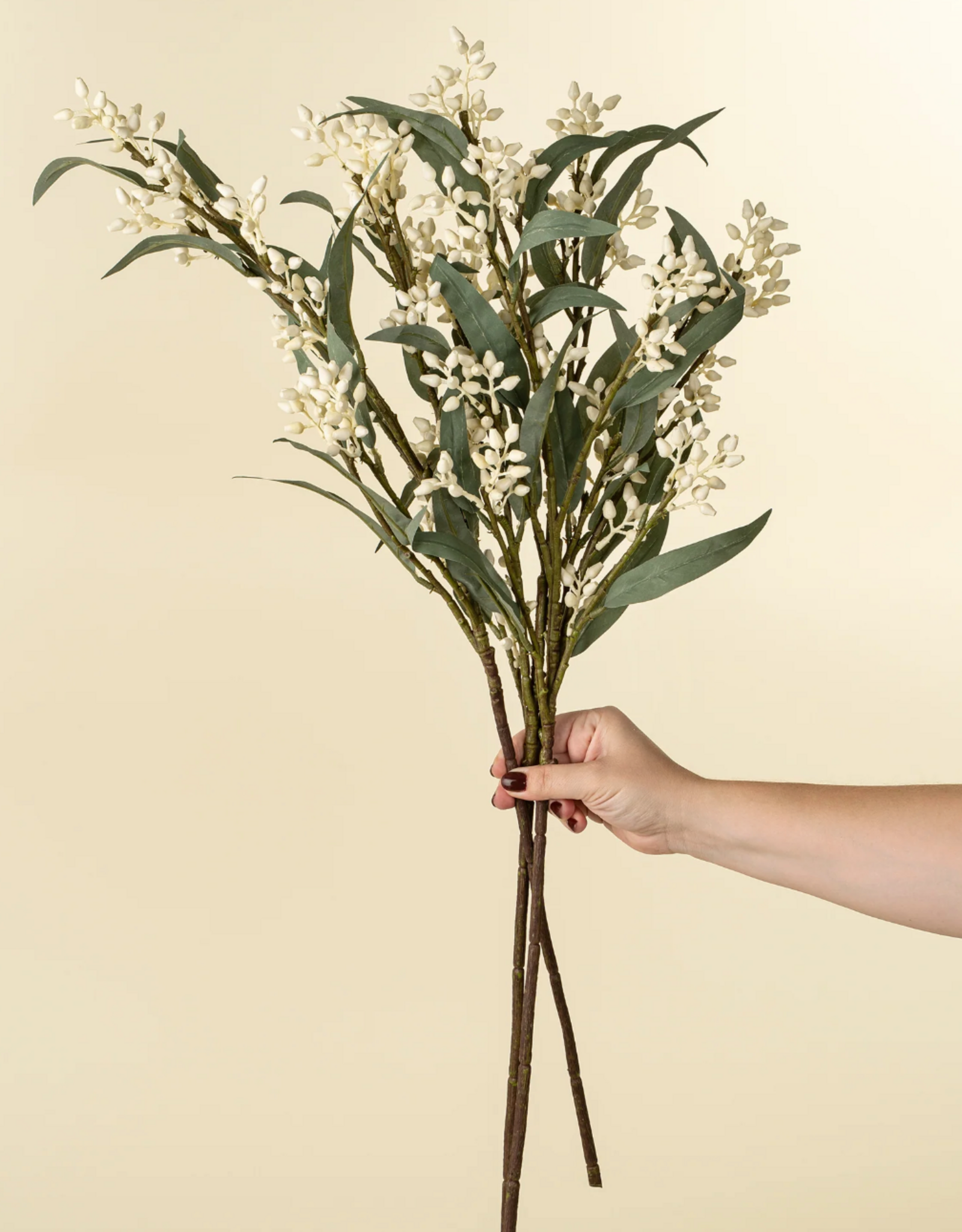 Flowering Eucalyptus Branch