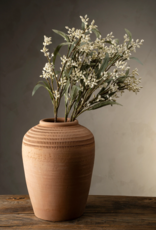 Flowering Eucalyptus Branch