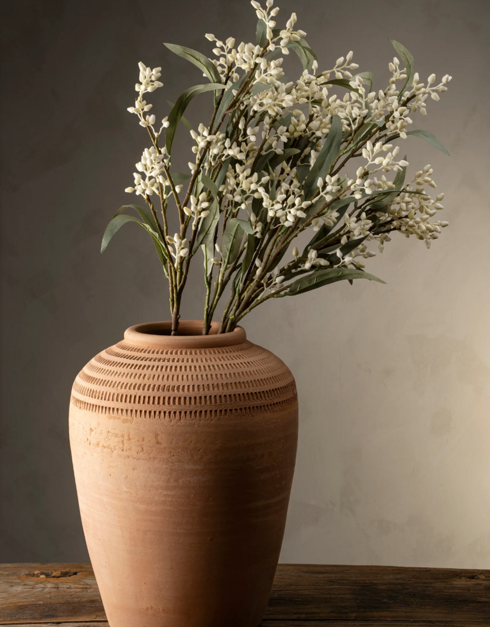 Flowering Eucalyptus Branch