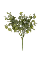 Eucalyptus Spray, Green