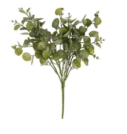 Eucalyptus Spray, Green