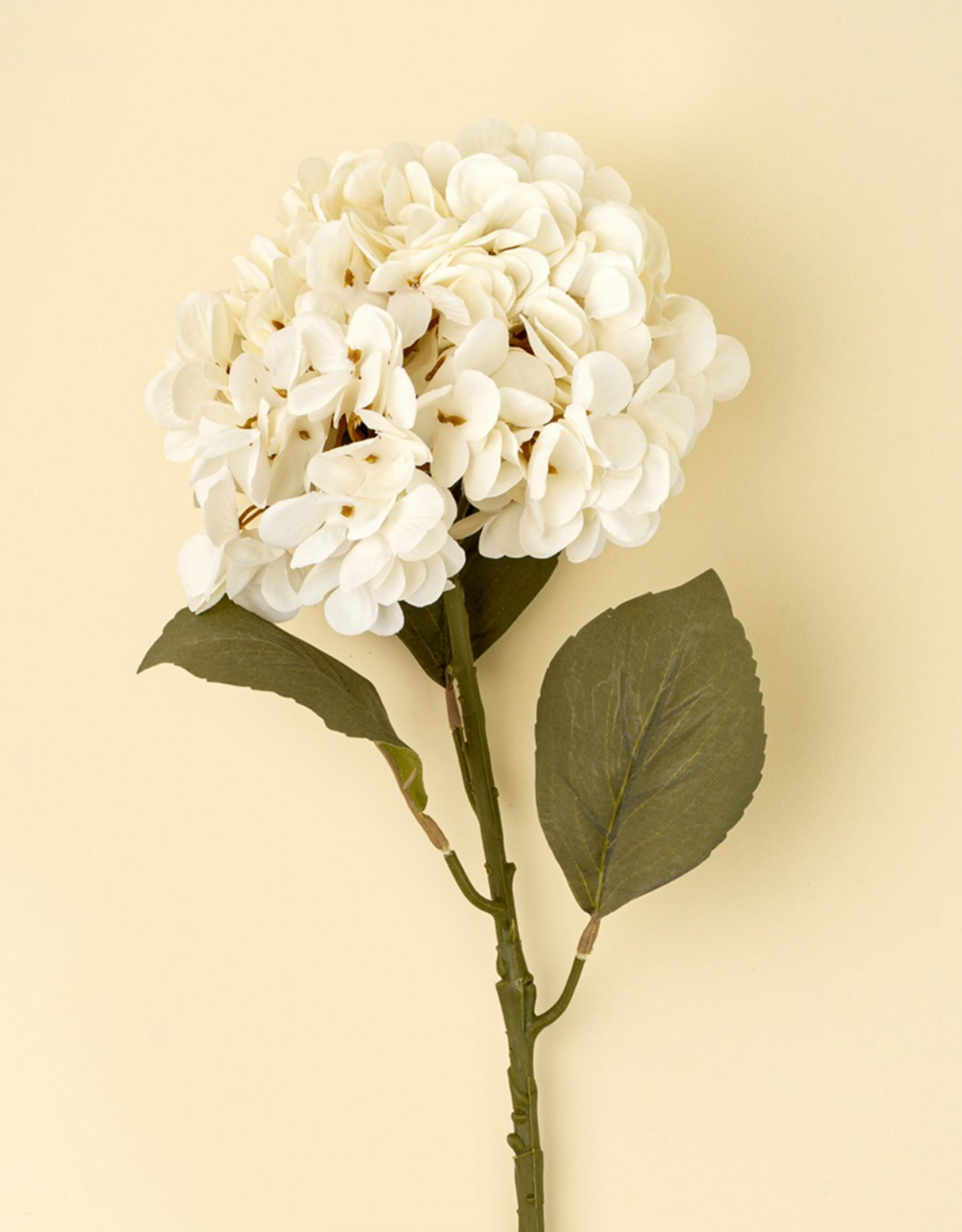 Hydrangea Floral Stem, White