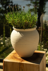 Ankara Terracotta Vase