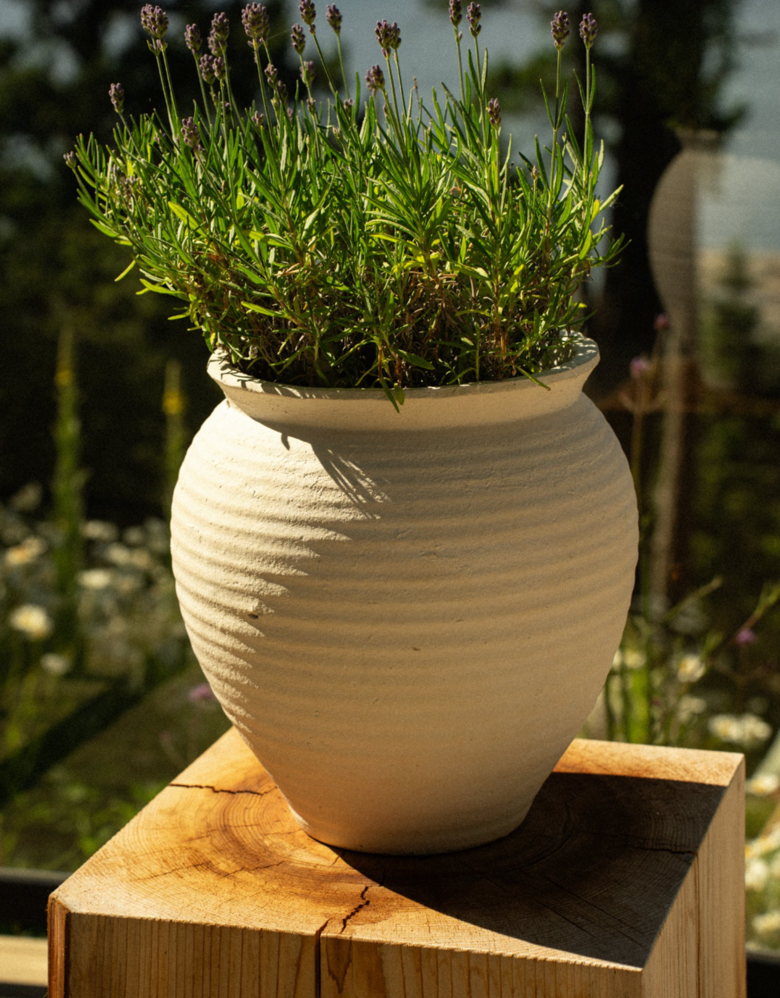 Ankara Terracotta Vase