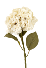 Hydrangea Floral Stem, White