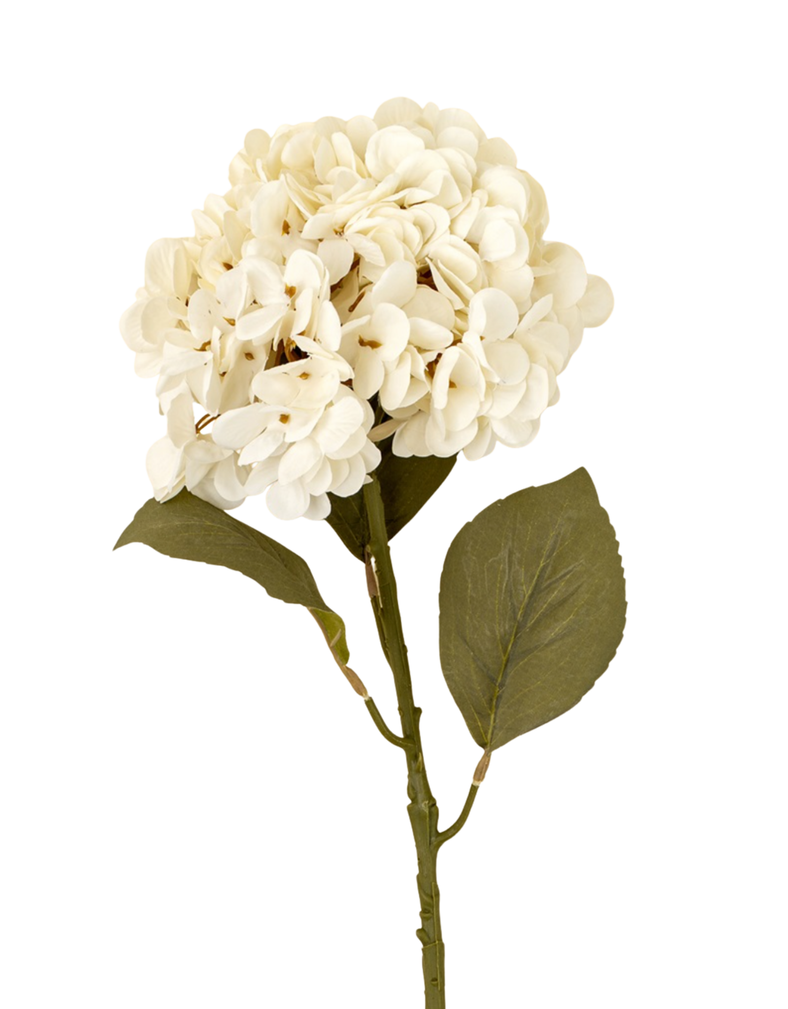 Hydrangea Floral Stem, White