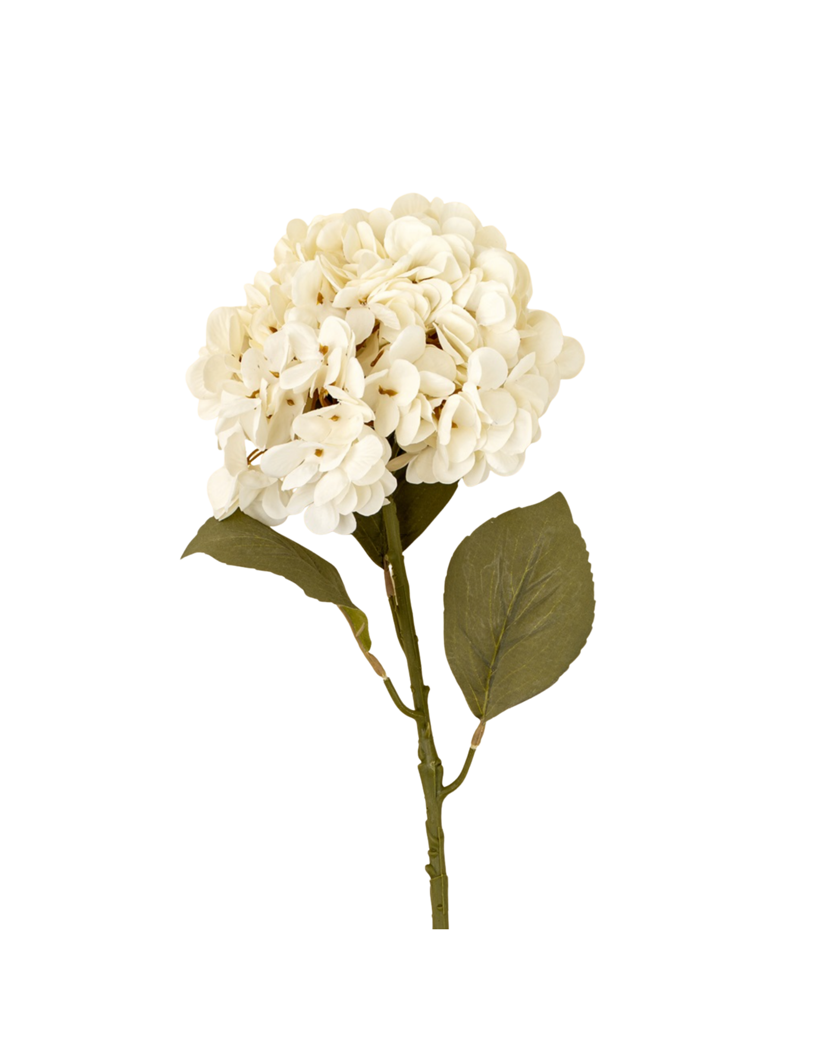 Hydrangea Floral Stem, White