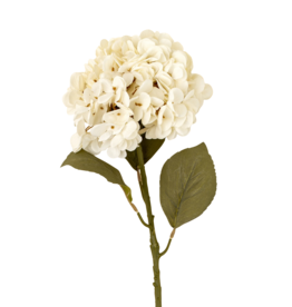 Hydrangea Floral Stem, White