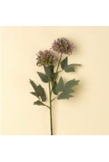 Sedum Spray, Purple