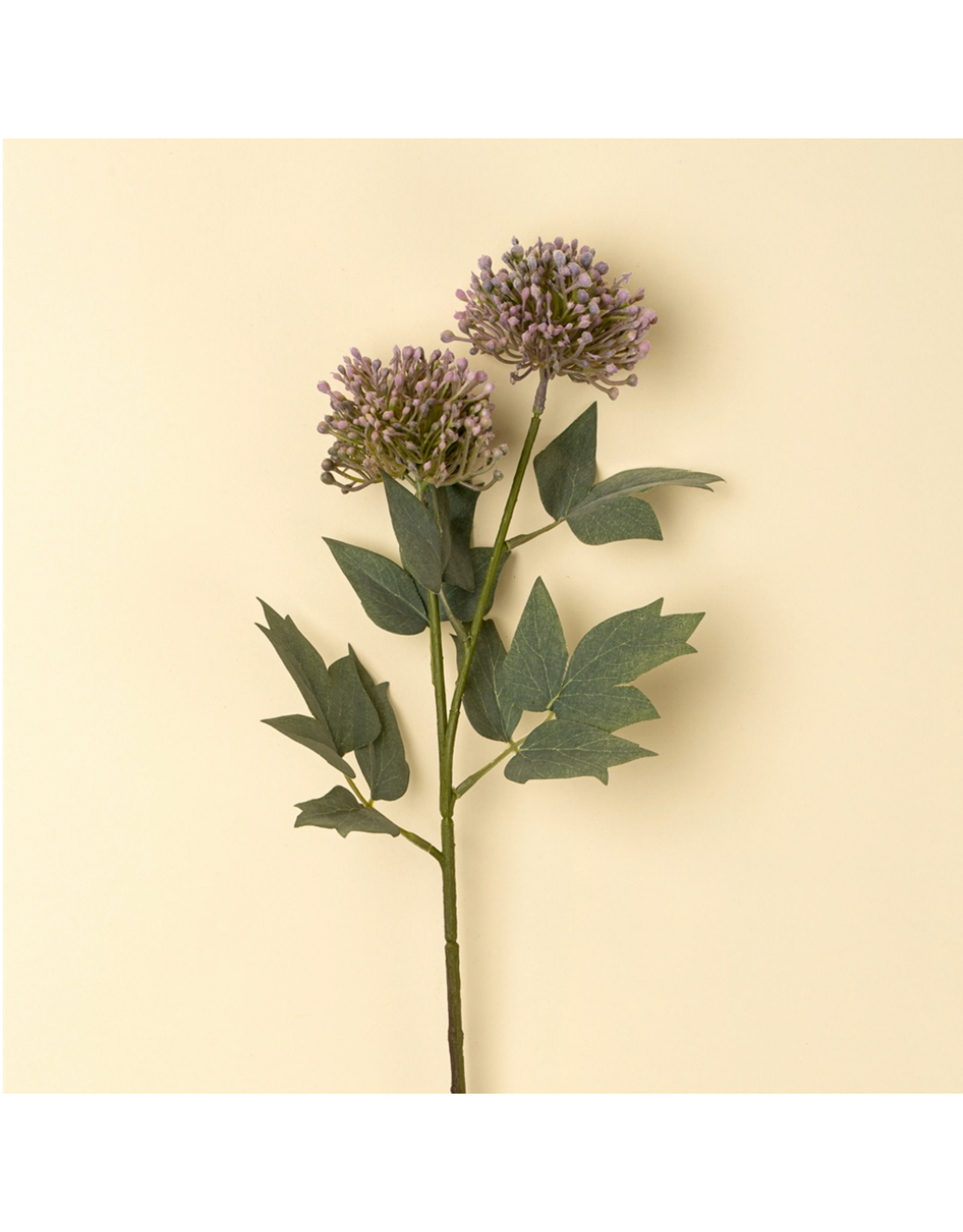 Sedum Spray, Purple