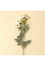 Ranunculus Spray, White