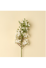 Delphinium Floral Stem, White