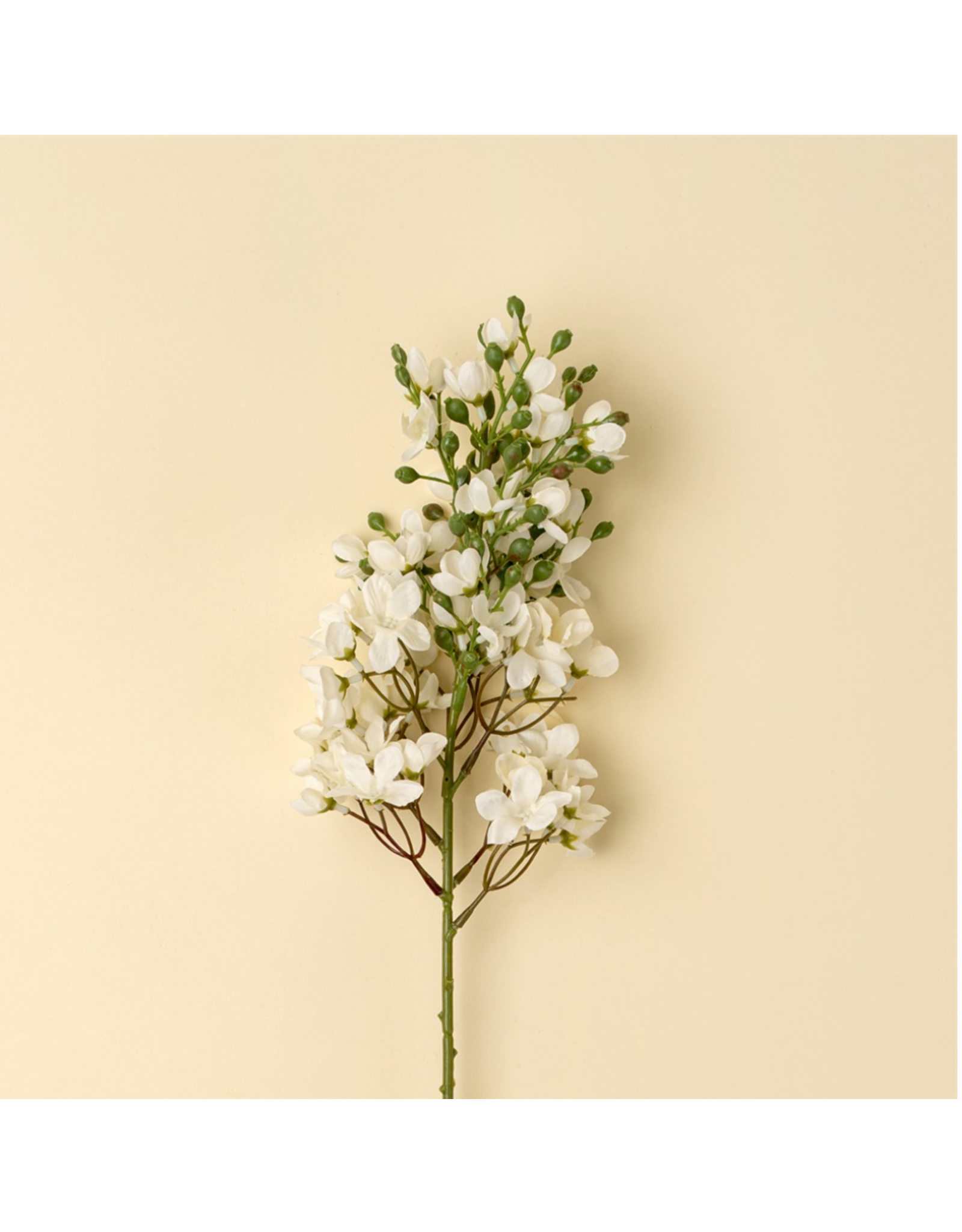 Delphinium Floral Stem, White
