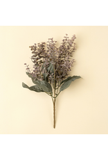 Primrue Eucalyptus Spray