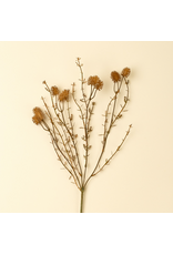 Wispy Twig Spray