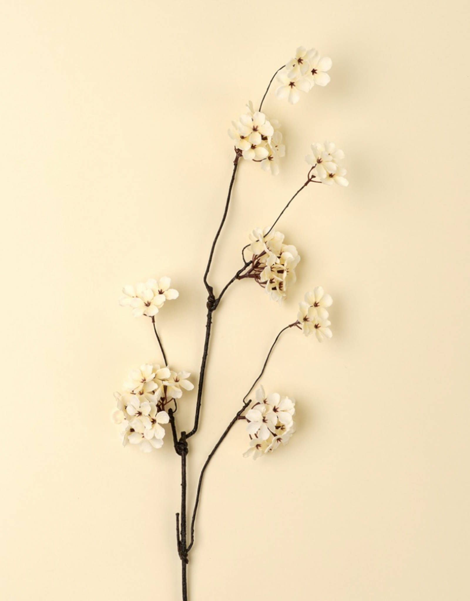 Pear Blossom Branch L