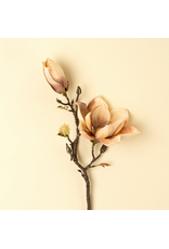 Magnolia Branch, Cream