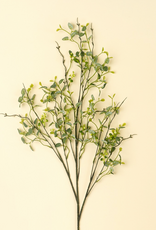 Butterfly Eucalyptus Branch