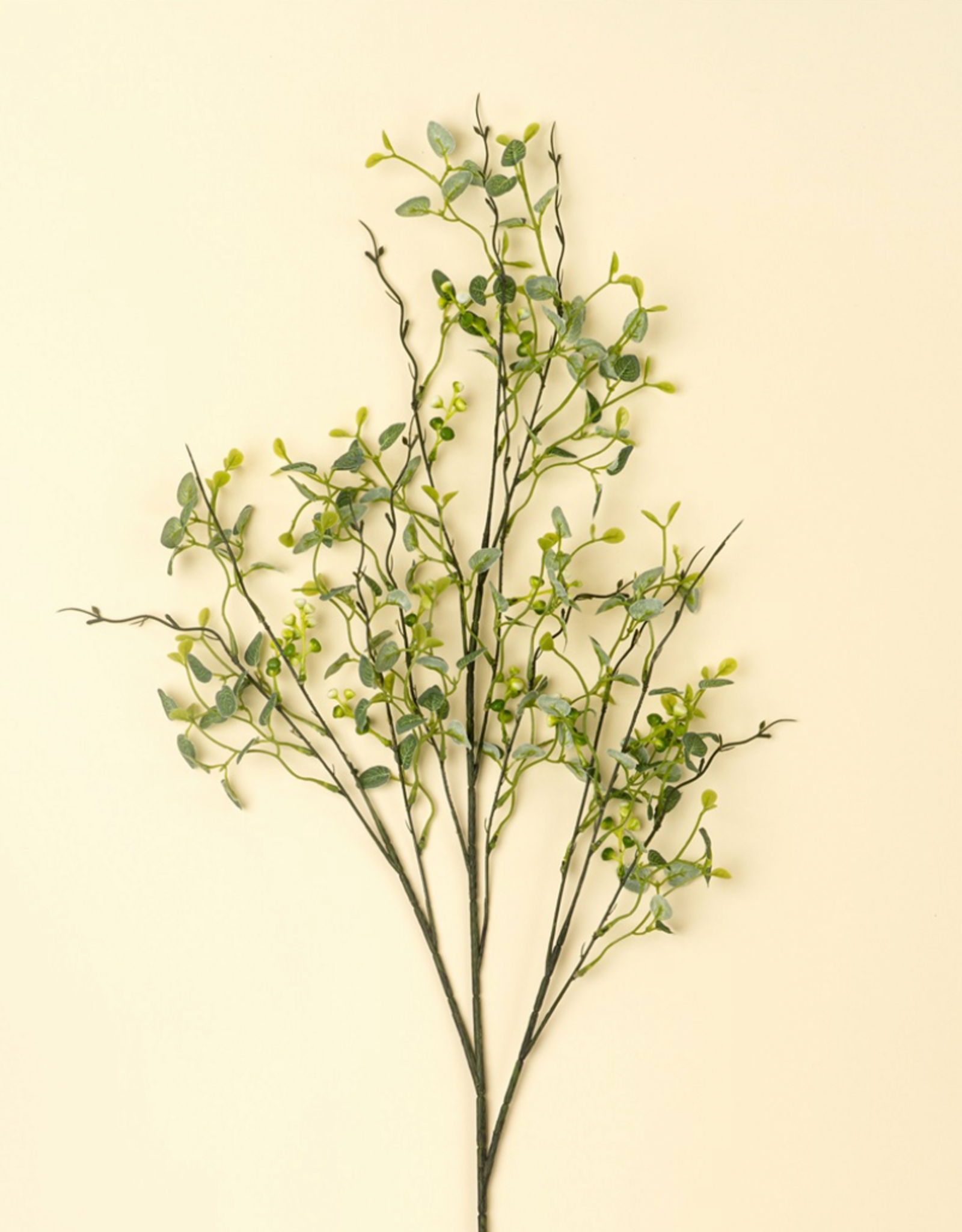 Butterfly Eucalyptus Branch