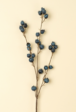 Blueberry Branch