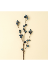 Blueberry Branch