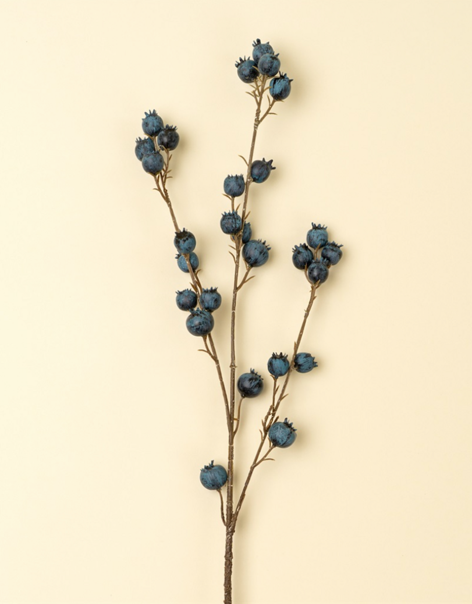 Blueberry Branch