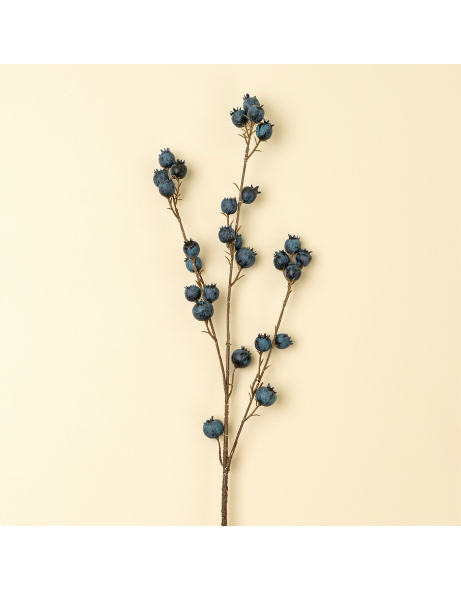 Blueberry Branch