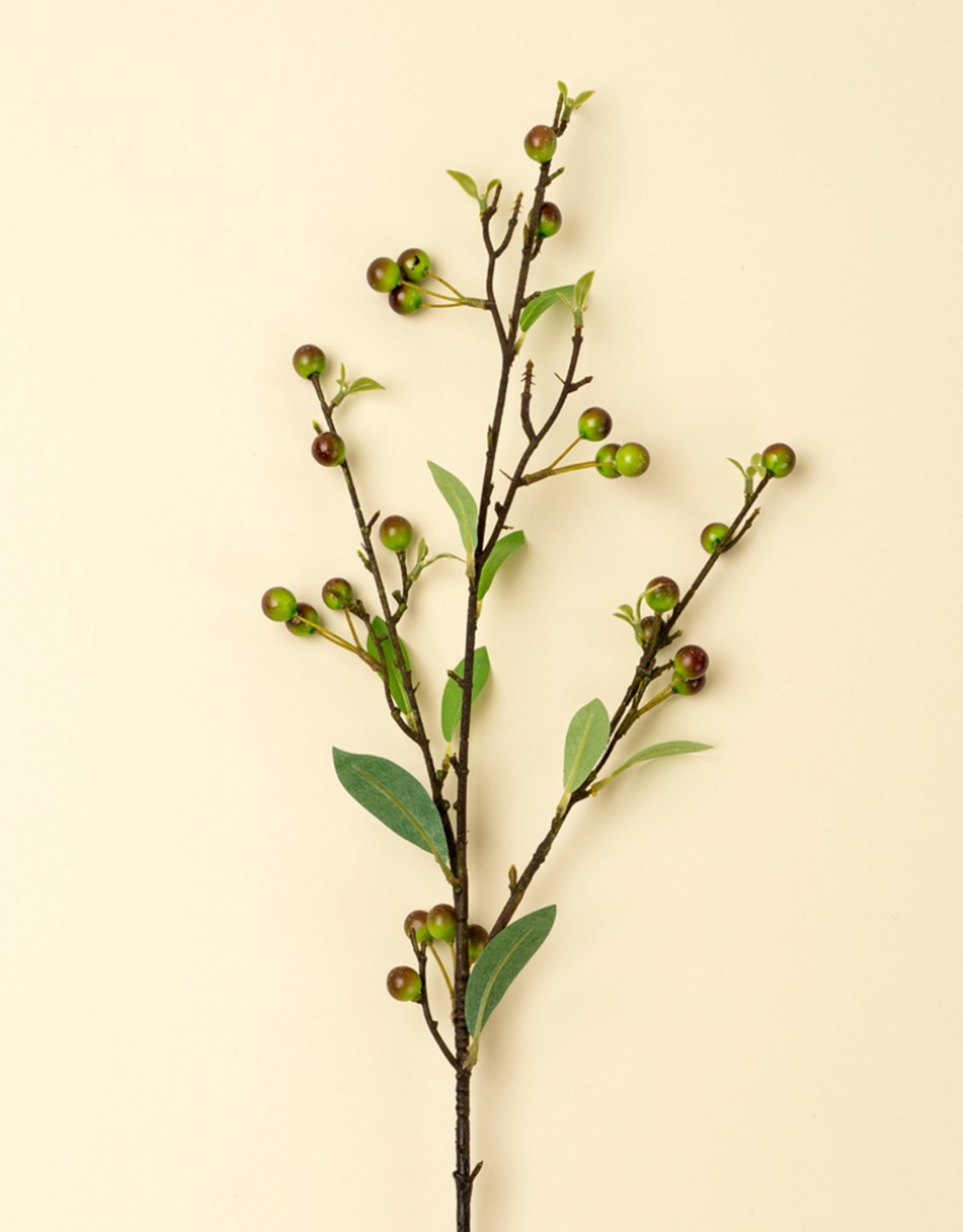 Hypericum Berry Spray