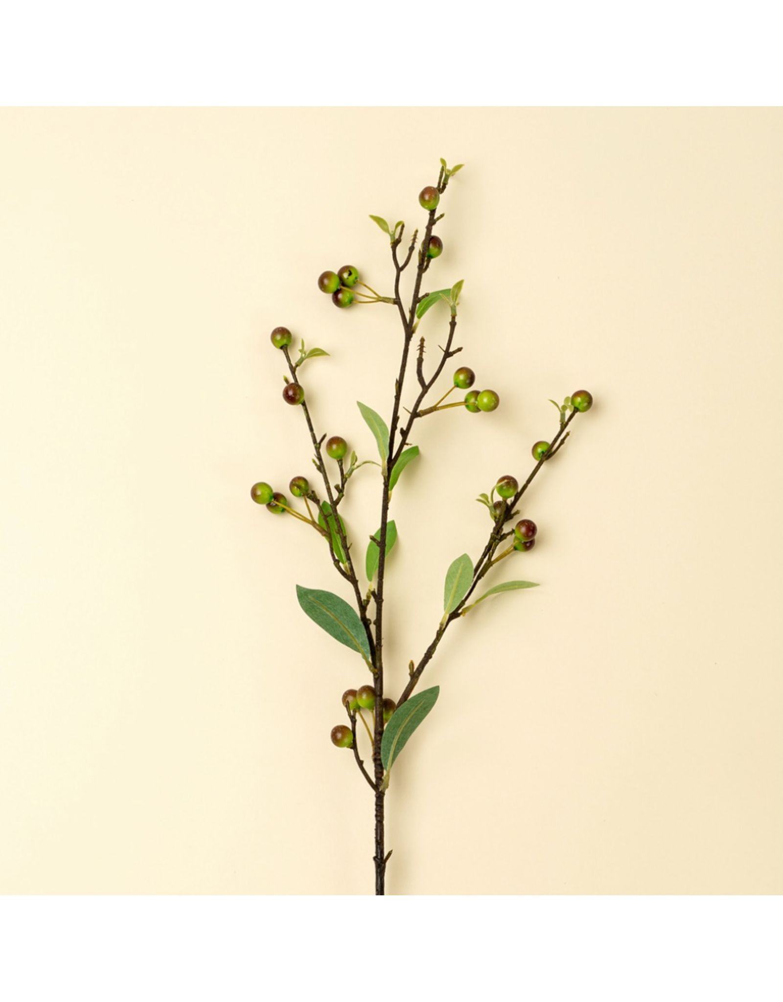 Hypericum Berry Spray