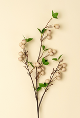 Wild Apple Berry Spray