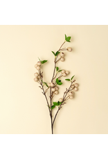 Wild Apple Berry Spray