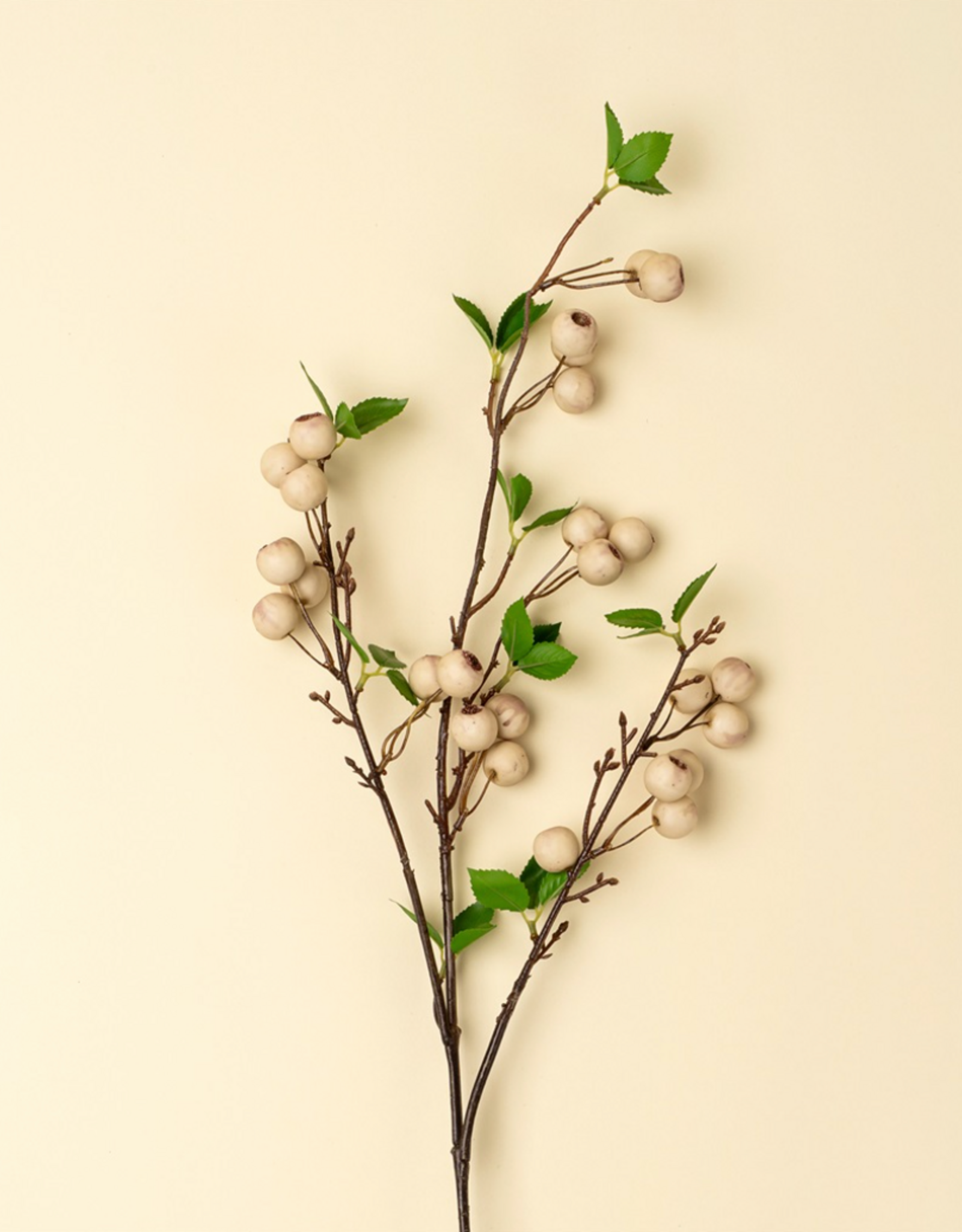 Wild Apple Berry Spray