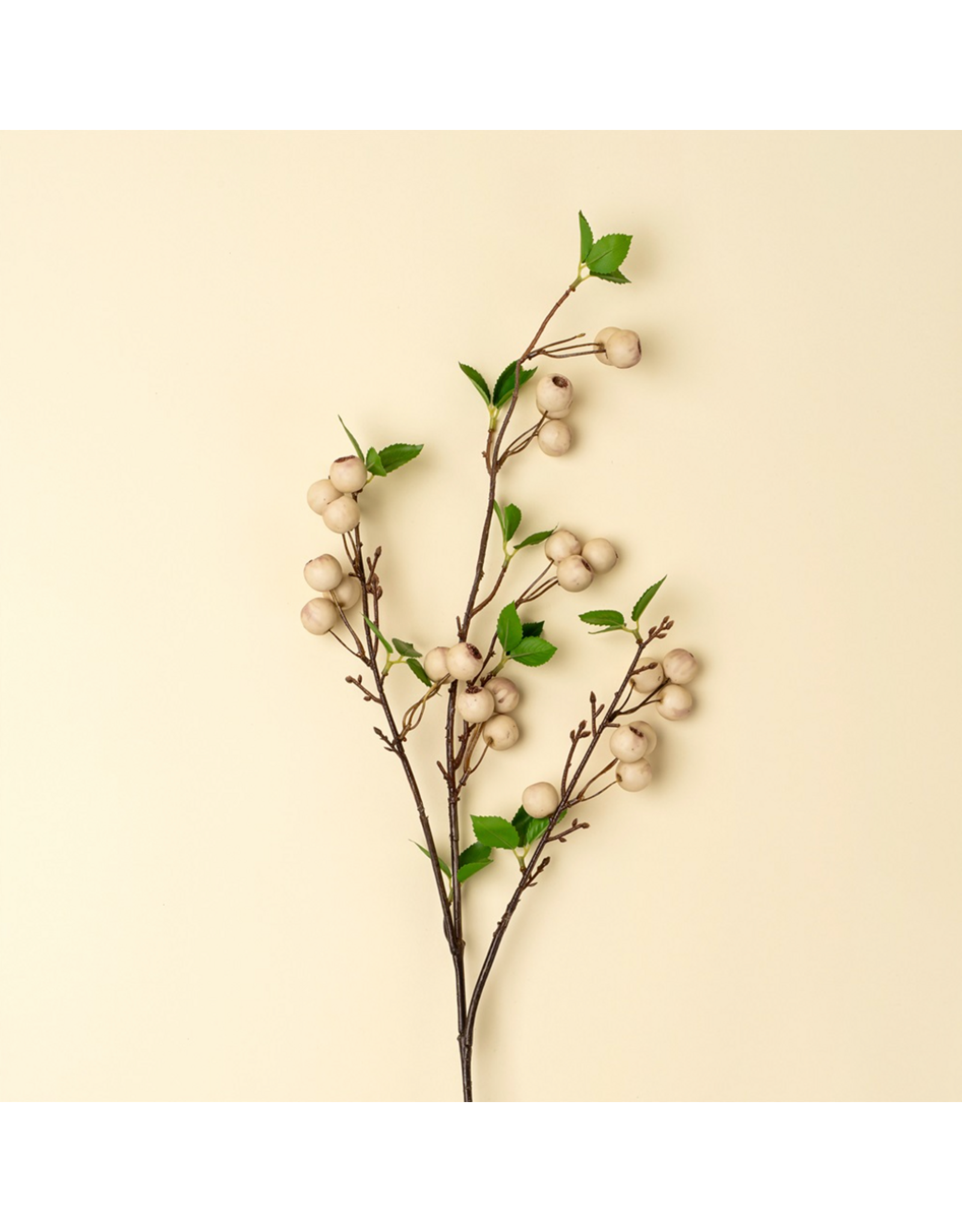 Wild Apple Berry Spray
