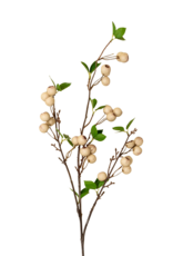 Wild Apple Berry Spray