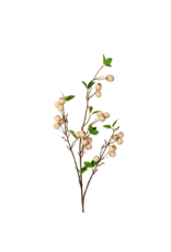 Wild Apple Berry Spray