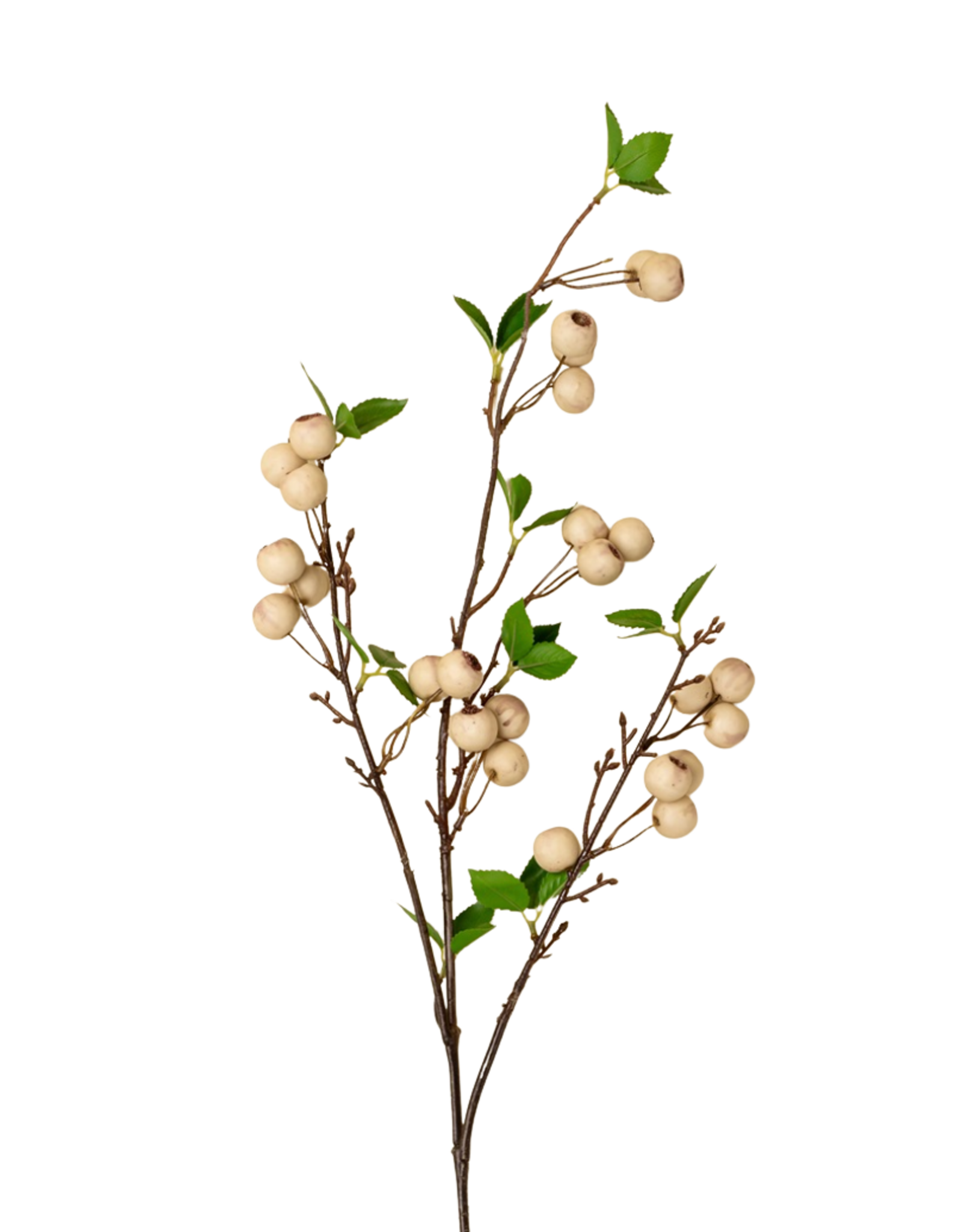 Wild Apple Berry Spray