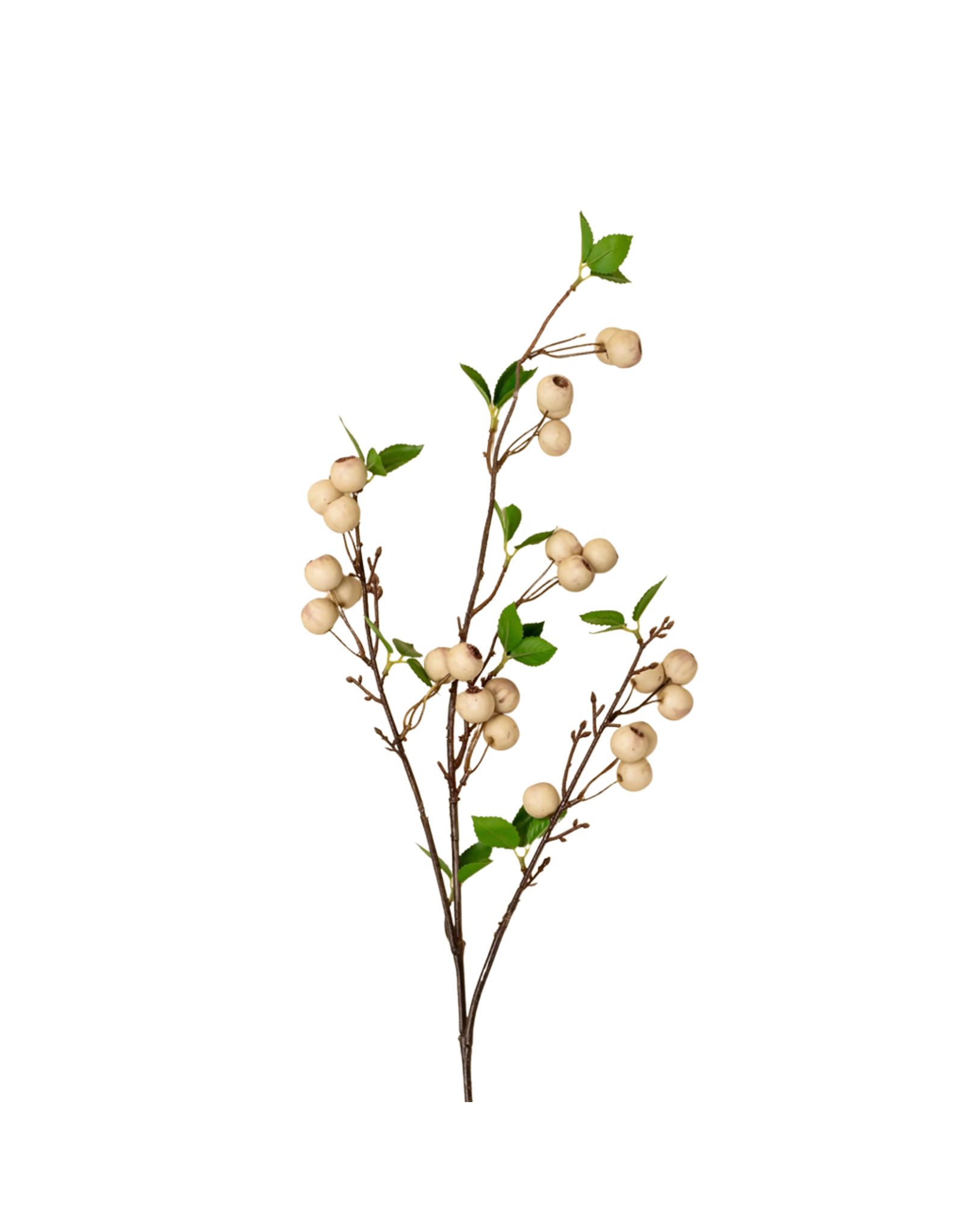 Wild Apple Berry Spray