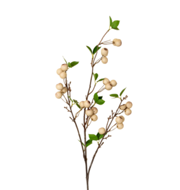 Wild Apple Berry Spray