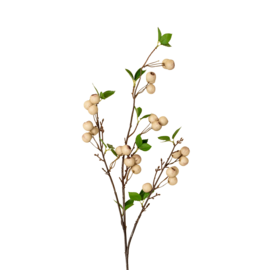 Wild Apple Berry Spray