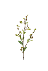 Hypericum Berry Spray