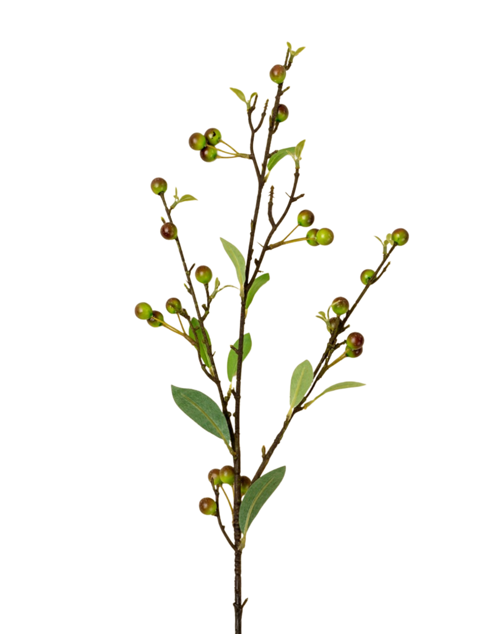 Hypericum Berry Spray