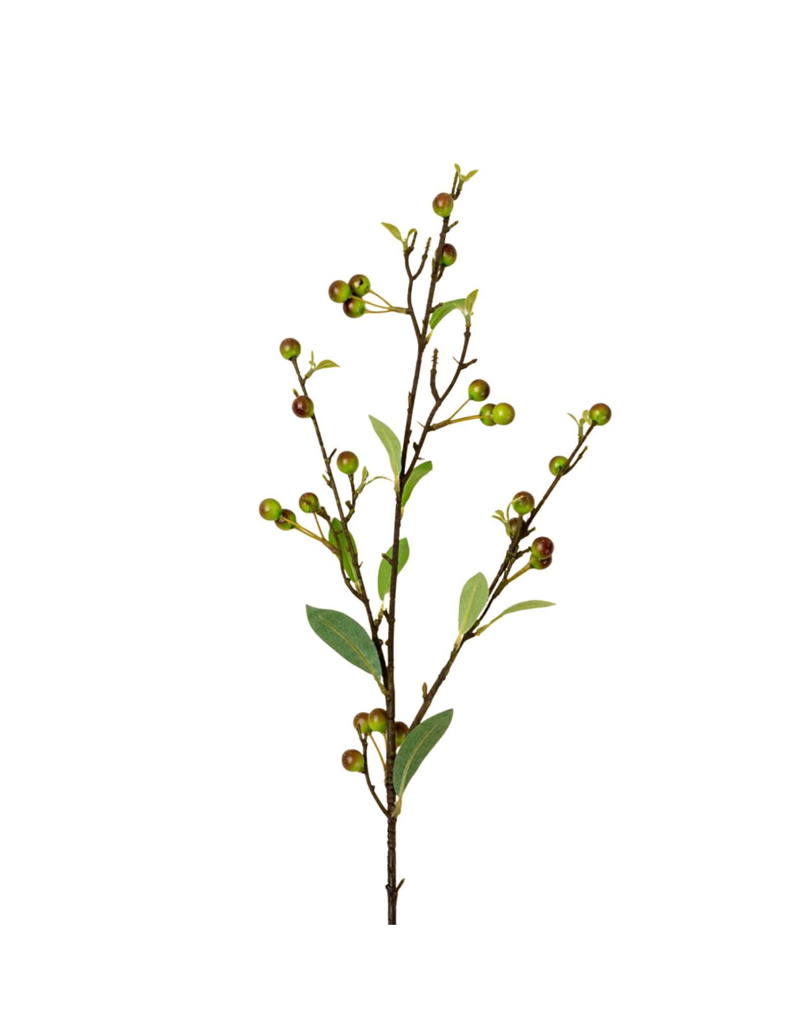 Hypericum Berry Spray
