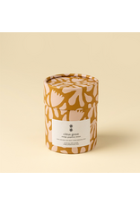 Citrus Grove Soy Candle