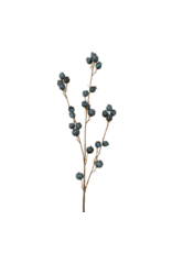 Blueberry Branch