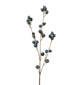 Blueberry Branch