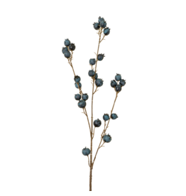 Blueberry Branch