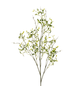 Butterfly Eucalyptus Branch