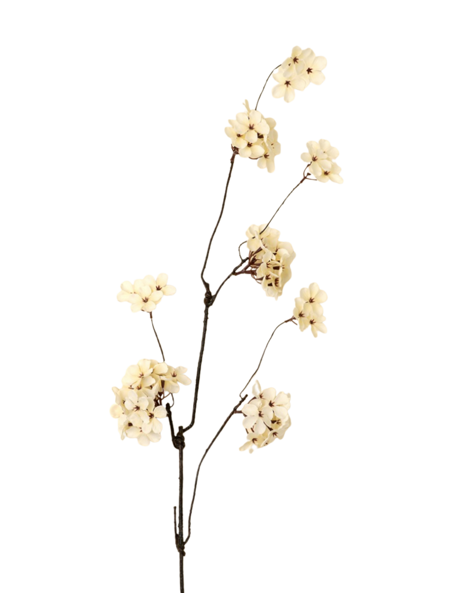 Pear Blossom Branch L